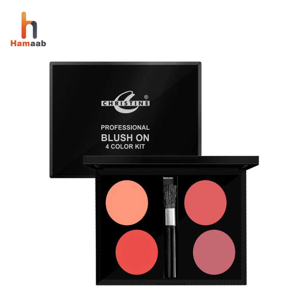 Christine Professional Blush-On 4 Color Kit Shade 01